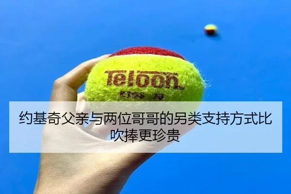 约基奇父亲与两位哥哥的另类支持方式比吹捧更珍贵